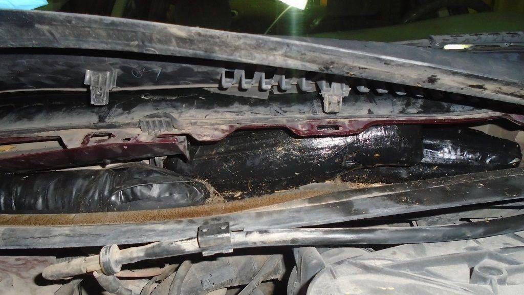 Tucson woman accused of trying to smuggle drugs into US